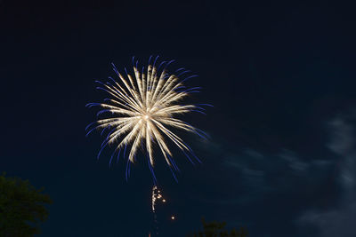 Low angle view of fireworks in sky at night