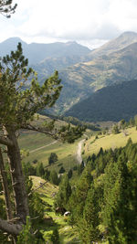 High angle view of trees and mountains against sky