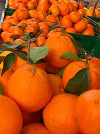 Fruits for sale at market stall