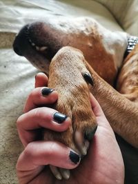 Close-up of hand holding hands