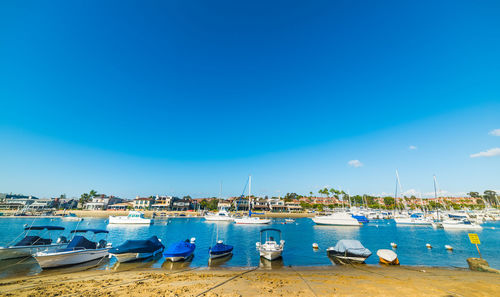 Boats moored in harbor against clear blue sky