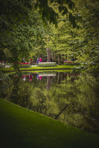 Scenic view of lake and trees in park