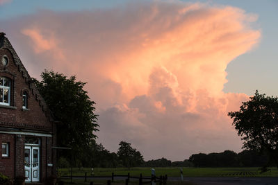 Panoramic view of trees against sky during sunset