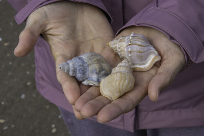 Close-up picture of a woman holding three seashells in her hands