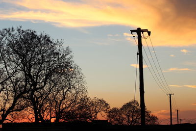 Silhouette trees by electric poles against sky during sunset