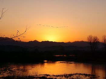 Silhouette birds flying over lake against sky during sunset