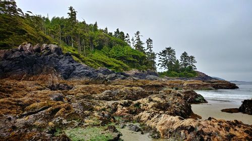 Crystal cove