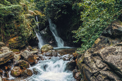 Scenic view of waterfall in forest