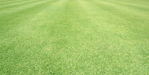 Full frame shot of soccer field