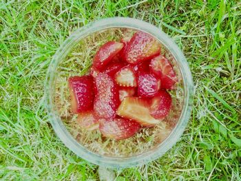 High angle view of strawberries in bowl