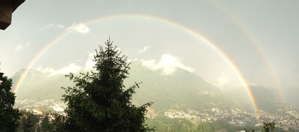 Scenic view of rainbow over trees against sky