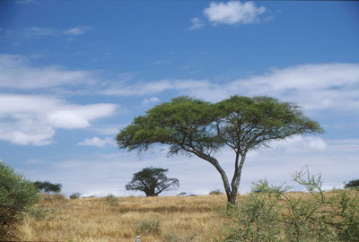 Scenic view of landscape against cloudy sky