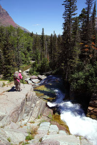 Scenic view of waterfall in forest against sky