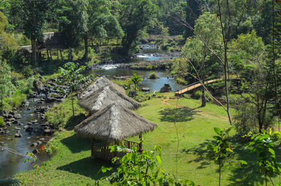 Scenic view of lake amidst trees in forest