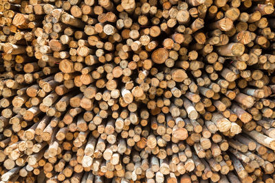 Full frame shot of logs in forest