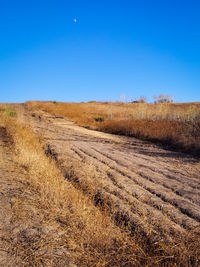 Scenic view of landscape against clear blue sky