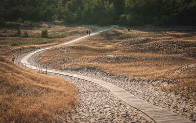 Aerial view of road passing through field