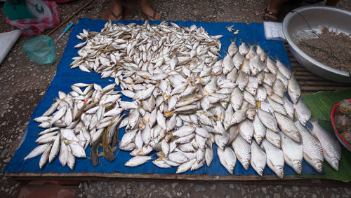 High angle view of fish for sale in market