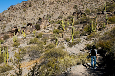 Full length rear view of woman walking at mountain