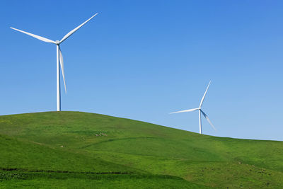 environmental conservation