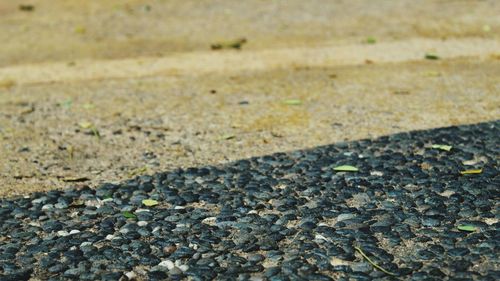 Surface level of stones on road