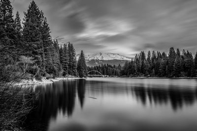 Scenic view of lake in forest against sky