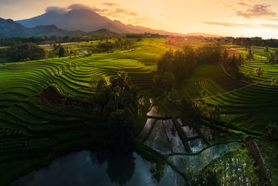 Scenic view of field against sky during sunset