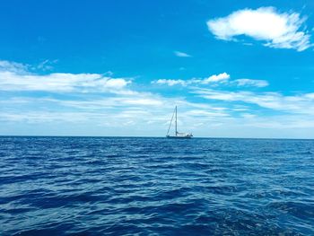 Sailboat sailing in sea against sky