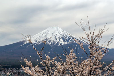 Scenic view of snow covered mountain against sky