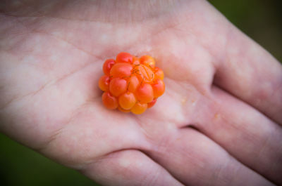 Close-up of hand holding fruit