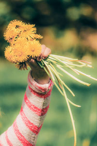 Cropped hand of child holding yellow flowers