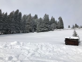 Snow covered field by trees against sky