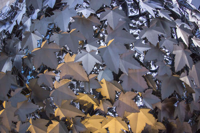 Low angle view of leaves hanging on paper