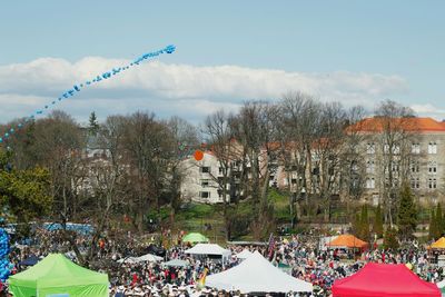 Trees against cloudy sky