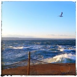 Scenic view of sea against clear sky