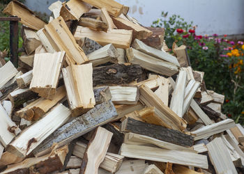 High angle view of wooden logs in forest