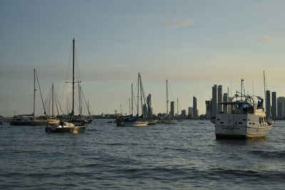 Sailboats moored on harbor against sky