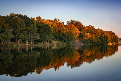 Landscape of peaceful area covered with trees and reflecting in still water