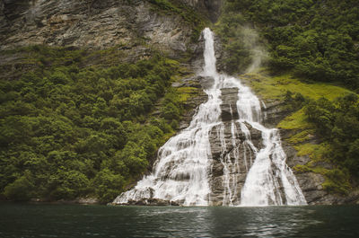 Scenic view of waterfall in forest