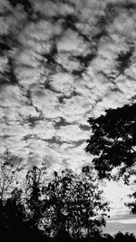 Low angle view of silhouette trees against sky