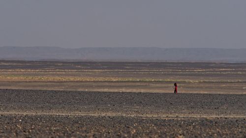 Rear view of man on field against sky