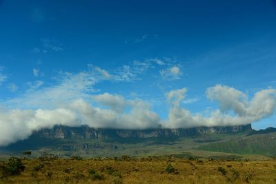 Scenic view of landscape against blue sky