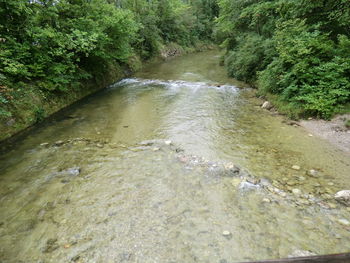 High angle view of river flowing amidst trees in forest