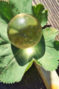 Close-up of fruit on table