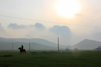 Man riding horses on field against sky