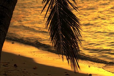 Palm tree by sea against sky during sunset