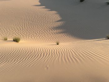 sand