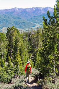 Full length of man climbing on mountain in forest