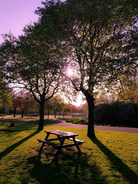 Empty bench in park