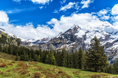 Various bernese alps mountain views along oeschinensee lake hiking path. taken in switzerland